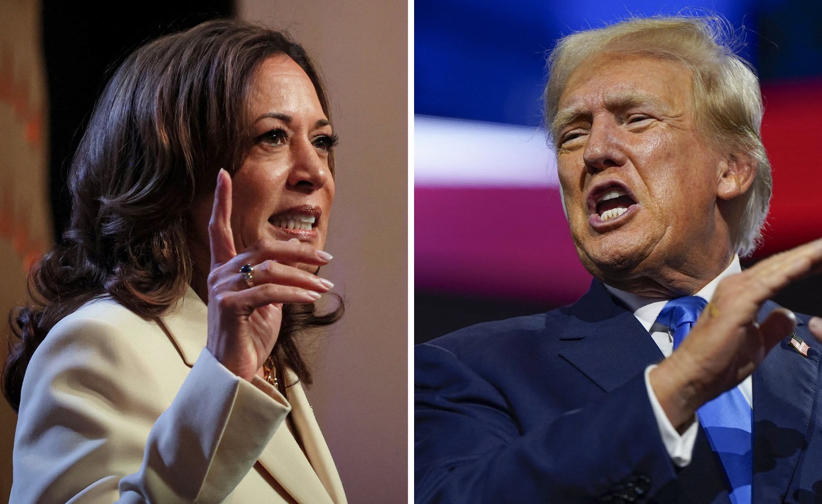 Trump vs Harris: Which is the Apocalypse By Howard Bloom